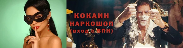 стафф Арсеньев