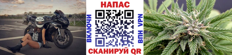 где продают   Хилок  Бошки марихуана планчик 